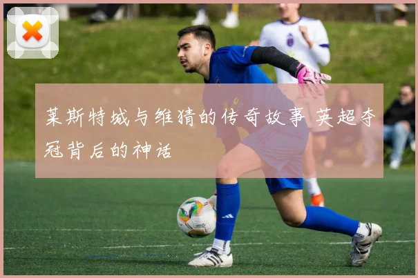 莱斯特城与维猜的传奇故事 英超夺冠背后的神话
