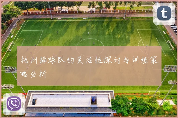杭州排球队的灵活性探讨与训练策略分析