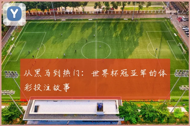 从黑马到热门：世界杯冠亚军的体彩投注故事