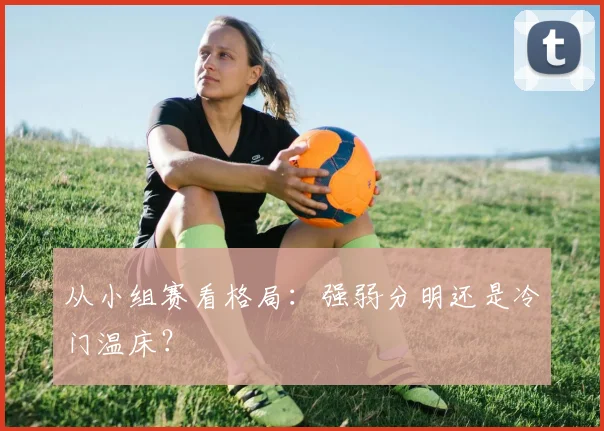 从小组赛看格局：强弱分明还是冷门温床？